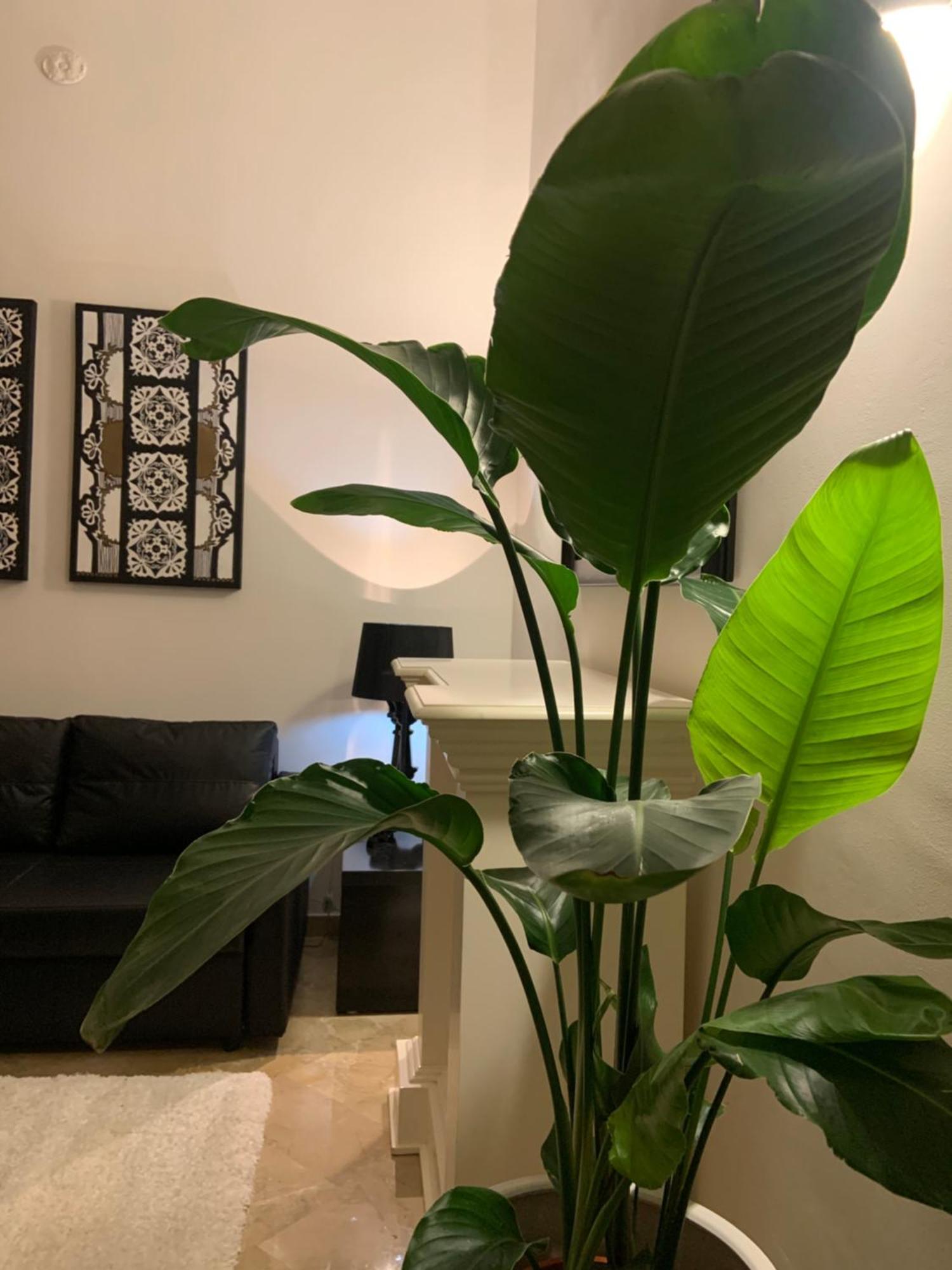 Bari Downtown Luxury Apartment Bagian luar foto